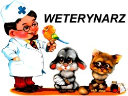 WETERYNARZ